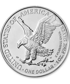 American Silver Eagle 1 oz 2021 back 4